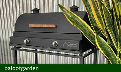 تفاوت باربیکیو و کباب پز